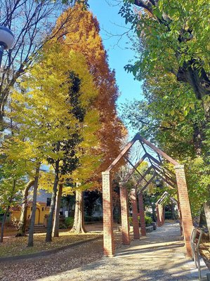 🌳 오츠카다이 공원(도시마쿠리쓰오쓰카다이코엔)